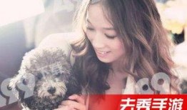 旋风视频在线观看 