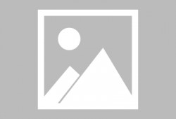 网红好看的视频吃瓜,一场视觉与味蕾的双重盛宴